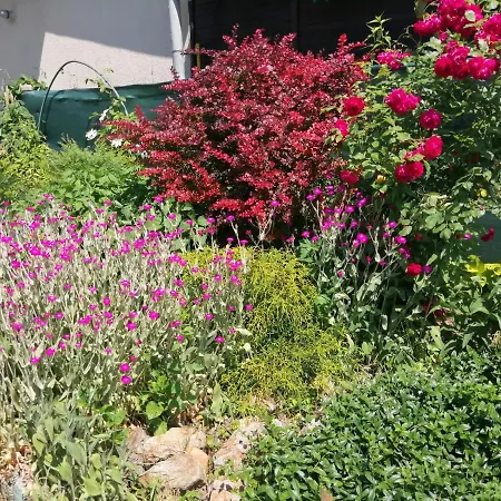 Big Garden House Dunajska Streda