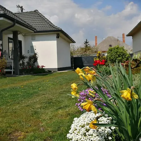 Big Garden House Holiday home *