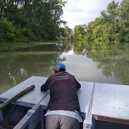 Dom wakacyjny Big Garden House