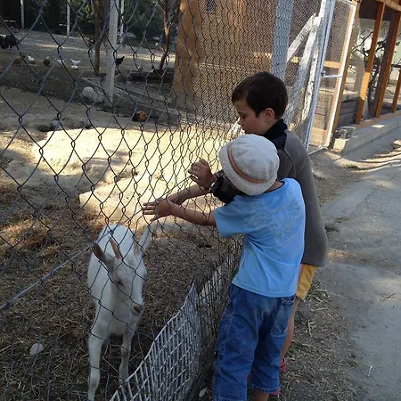 Big Garden House Dunajska Streda