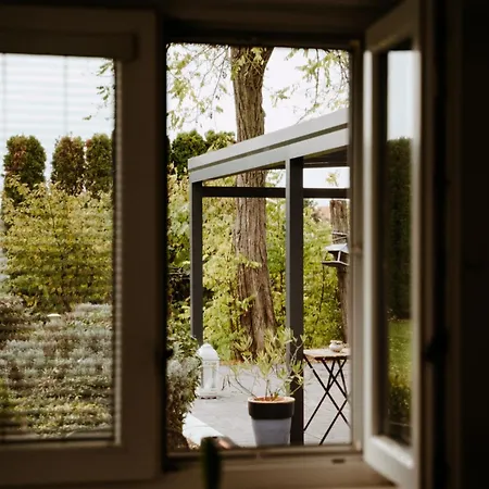 Big Garden House Dom wakacyjny