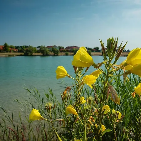 Big Garden House Holiday home *