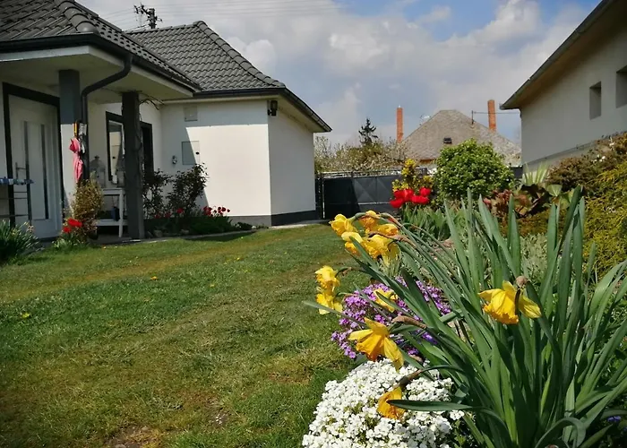 Big Garden House Casa vacanze *