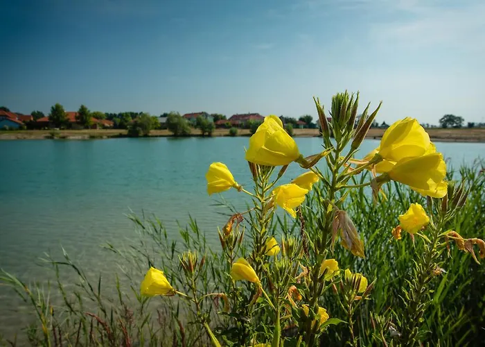 Big Garden House Casa vacanze *